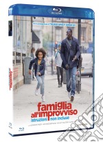 (Blu-Ray Disk) Famiglia All'Improvviso - Istruzioni Non Incluse brd