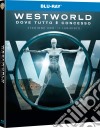 (Blu-Ray Disk) Westworld - Stagione 01 (3 Blu-Ray) dvd