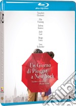 (Blu-Ray Disk) Giorno Di Pioggia A New York (Un) brd