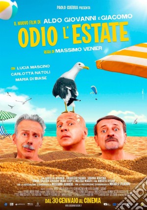 Odio L'Estate film in dvd di Massimo Venier