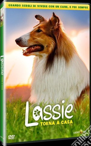 Lassie Torna A Casa film in dvd di Hanno Olderdissen