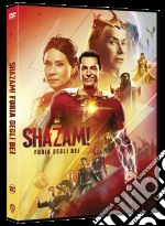 Shazam! 2 - Furia Degli Dei dvd