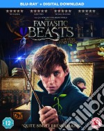 (Blu-Ray Disk) Fantastic Beasts And Where To Find Them [Edizione: Regno Unito] brd