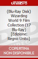 (Blu-Ray Disk) Wizarding World 9 Film Collection (17 Blu-Ray) [Edizione: Regno Unito] brd