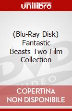 (Blu-Ray Disk) Fantastic Beasts Two Film Collection brd