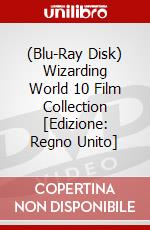 (Blu-Ray Disk) Wizarding World 10 Film Collection [Edizione: Regno Unito] brd