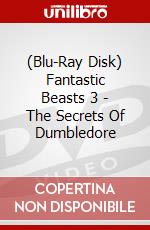 (Blu-Ray Disk) Fantastic Beasts 3 - The Secrets Of Dumbledore brd