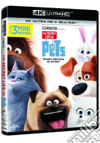 (Blu-Ray Disk) Pets - Vita Da Animali (4K Ultra Hd+Blu-Ray) brd