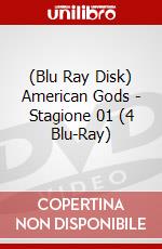 (Blu Ray Disk) American Gods - Stagione 01 (4 Blu-Ray) dvd