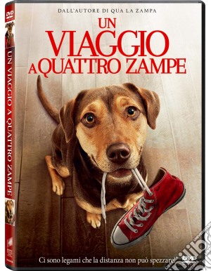 Viaggio A Quattro Zampe (Un) film in dvd di Charles M. Smith