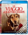 (Blu-Ray Disk) Viaggio A Quattro Zampe (Un) dvd