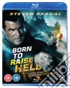 (Blu-Ray Disk) Born To Raise Hell [Edizione: Regno Unito] dvd