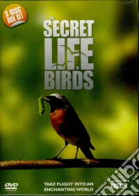 Secret Life Of Birds [Edizione: Regno Unito] dvd