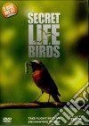 Secret Life Of Birds [Edizione: Regno Unito] dvd