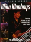 Blow Monkeys (The) - Live From London dvd