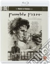 (Blu-Ray Disk) Rumble Fish: Masters Of Cinema [Francis Ford Coppola] [Edizione: Regno Unito] dvd