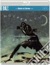 (Blu-Ray Disk) Nosferatu [Edizione: Regno Unito] dvd