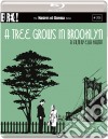 (Blu-Ray Disk) A Tree Grows In Brooklyn (Masters Of Cinema) [Edizione: Regno Unito] dvd