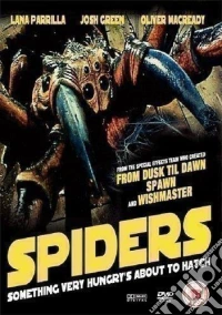 Spiders
