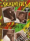 Skatalites - Live At The Lokerse Feesten dvd