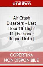 Air Crash Disasters - Last Hour Of Flight 11 [Edizione: Regno Unito] dvd