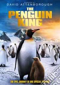 Penguin King dvd