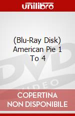 (Blu-Ray Disk) American Pie 1 To 4 brd