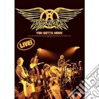 Aerosmith - You Gotta Move dvd