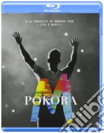 (Blu-Ray Disk) M. Pokora - A La Poursuite Du Bonheur Tour Live brd