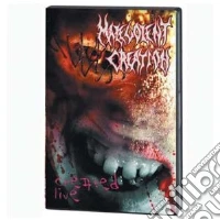 Malevolent Creation - Created Live dvd
