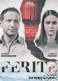 Ferite dvd