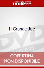 Il Grande Joe dvd