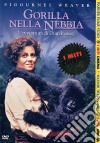 Gorilla Nella Nebbia dvd