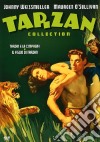 Tarzan e la compagna - Il figlio di Tarzan (Cofanetto) dvd