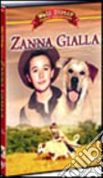 Zanna Gialla dvd