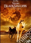 Young Black Stallion film in dvd di Simon Wincer