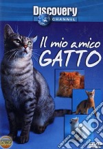 Mio Amico Gatto (Il) dvd