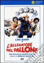 Allenatore Nel Pallone (L`) dvd usato