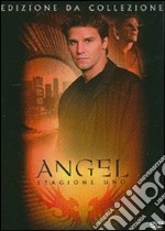 Angel. Stagione 1 dvd