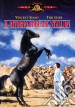 Ritorno Di Black Stallion (Il) dvd