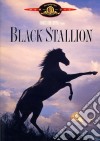 Black Stallion dvd