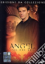 Angel. Stagione 1 dvd