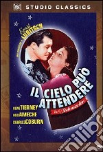 Il cielo può attendere dvd