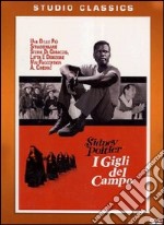 I gigli del campo dvd