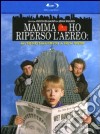 (Blu-Ray Disk) Mamma Ho Riperso l'Aereo dvd