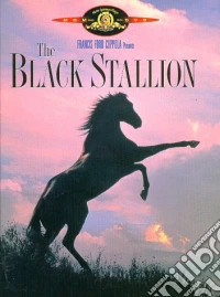 (Blu-Ray Disk) Black Stallion brd