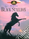 (Blu-Ray Disk) Black Stallion dvd