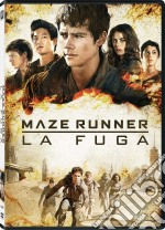 Maze Runner - La Fuga dvd