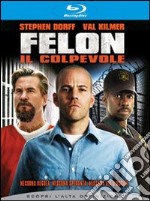 (Blu Ray Disk) Felon. Il colpevole dvd