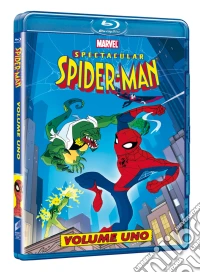 (Blu Ray Disk) Spectacular Spider-Man - Stagione 01 (CE) (2 Blu-Ray) dvd